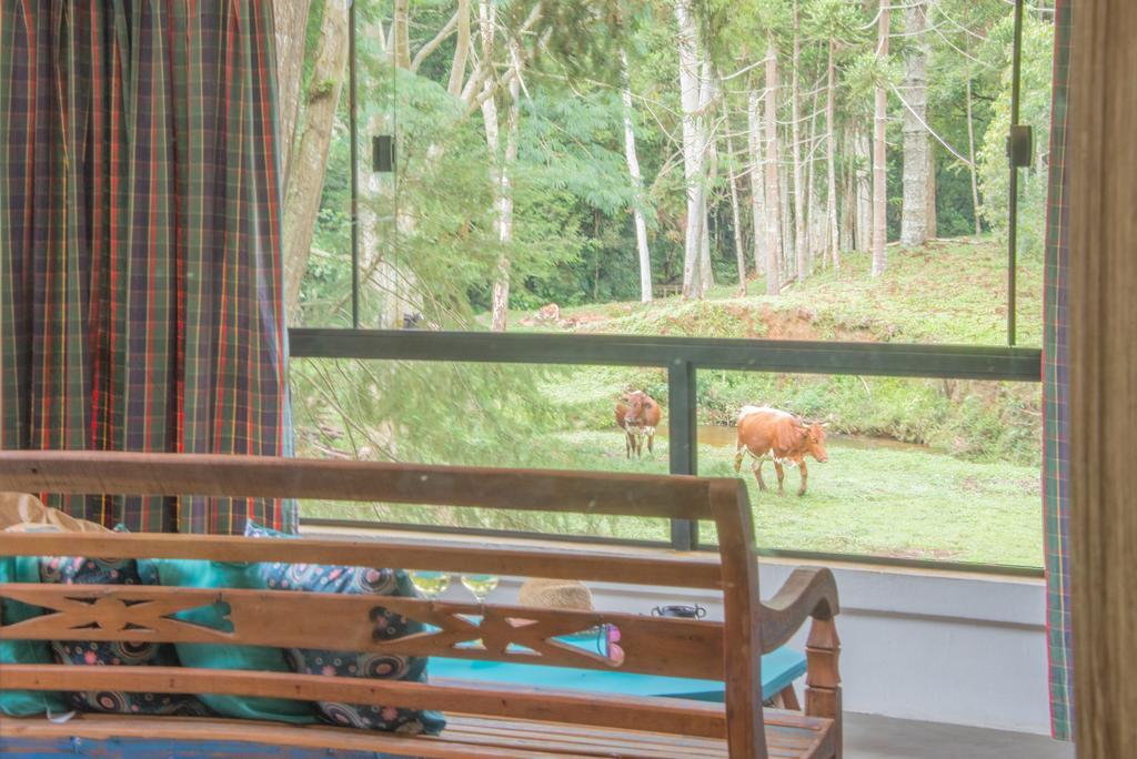 בוקאינה דה מינאס Apartamento Ferias Fazenda Usina 2 מראה חיצוני תמונה