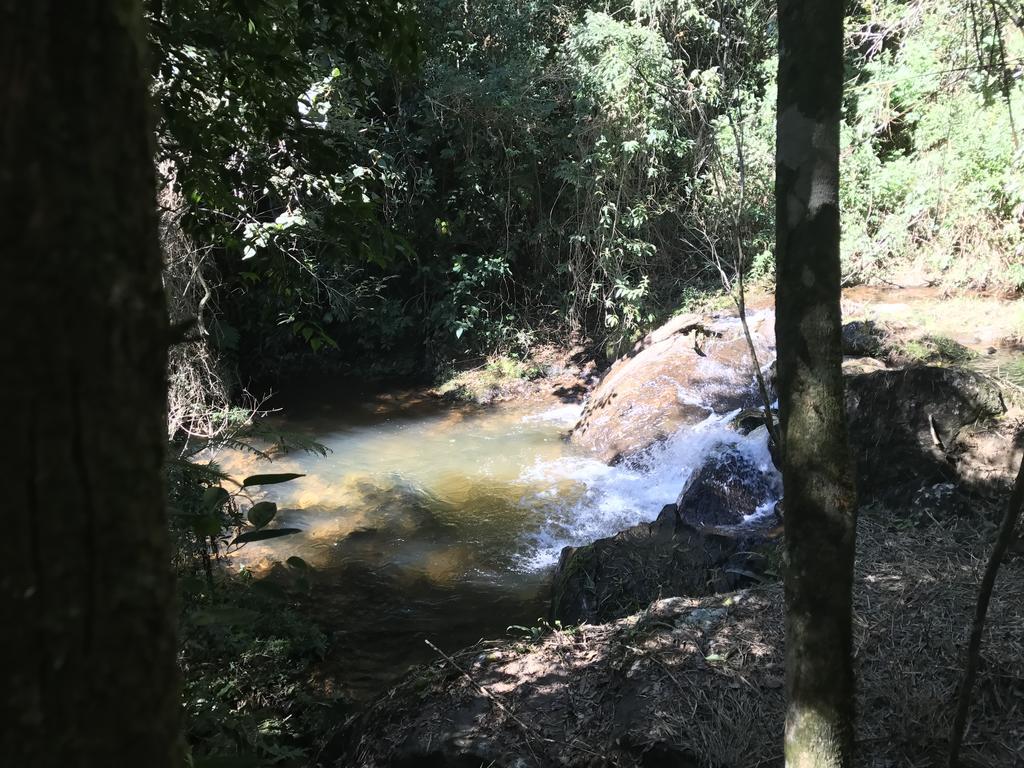 בוקאינה דה מינאס Apartamento Ferias Fazenda Usina 2 מראה חיצוני תמונה