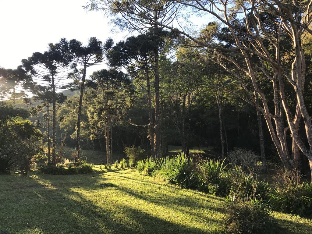 בוקאינה דה מינאס Apartamento Ferias Fazenda Usina 2 מראה חיצוני תמונה